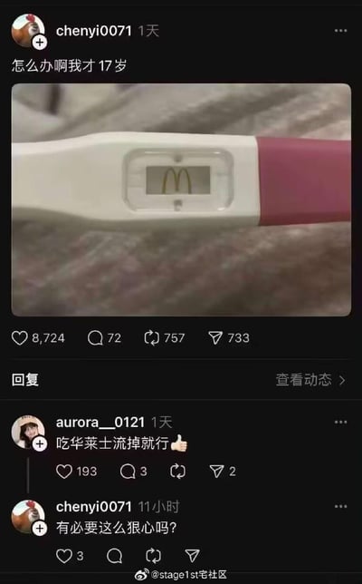这是一张社交媒体截图类梗图，用户chenyi0071发布动态配文「怎么办啊我才17岁」，并附上一张经过P图修改的验孕棒图片，将验孕棒的显示区域替换为麦当劳的「M」标志，假装自己「怀了麦当劳」，模仿意外怀孕的焦虑场景制造反差感。评论区用户aurora__0121玩梗回复「吃华莱士流掉就行👍」，楼主随后回复「有必要这么狠心吗？」，进一步用快餐品牌的互黑强化搞笑效果。
- 玩梗解析：用验孕棒阳性的视觉符号类比对麦当劳的强烈渴望，评论区用华莱士作为「反向解决方案」，是快餐品牌间的搞笑互黑，通过模仿严肃的意外怀孕场景制造荒诞笑点。