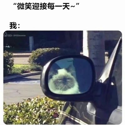 这是一张反差感拉满的图文梗图，上方配文“微笑迎接每一天~”，代表着外界对人们的积极期许或是主流倡导的乐观态度；下方标注“我：”，搭配汽车后视镜里一只眉头紧皱、眼神凶狠、满脸不耐烦的丧脸猫，用生动的画面精准呈现出当代年轻人、打工人的真实情绪——嘴上被要求保持积极向上，实际却被生活消磨得提不起劲，充满疲惫与丧气，这种强烈的反差极易引发群体共鸣。