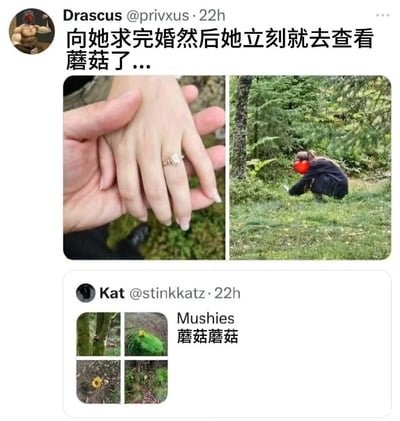这是一张社交媒体截图，包含两条Twitter帖子。上方是用户Drascus (@privxus)发布的内容，文字为“向她求完婚然后她立刻就去查看蘑菇了...”，配图左侧是一只戴着订婚戒指的手被另一只手握住的特写，右侧是一位女性蹲在森林中专注查看地面蘑菇的场景。下方是用户Kat (@stinkkatz)的回复，文字为“Mushies 蘑菇蘑菇”，并附带四张不同蘑菇的照片，形成了求婚这一浪漫时刻与查看蘑菇这一日常爱好的幽默对比。