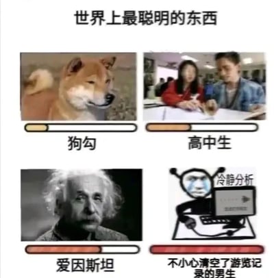 这是一张搞笑的对比类梗图，以“世界上最聪明的东西”为主题，通过进度条的形式展示不同对象的“聪明值”：柴犬的进度条几乎为空，高中生的进度条有少量填充，爱因斯坦的进度条接近满格，而“不小心清空了游览记录的男生”的进度条完全填满，搭配“冷静分析”的流泪梗图，用夸张的方式调侃男生在误删浏览记录后，会调动全部才智想办法恢复，展现出超高的“应急聪明才智”，是对生活中有趣场景的搞笑解构，充满网感和趣味性。