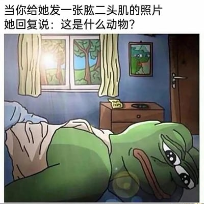 这是一张改编自悲伤蛙（Pepe the Frog）的搞笑梗图，画面中悲伤蛙躺在床上，侧身露出自己的绿色大胳膊，双眼含泪，表情委屈又尴尬。图上方配文“当你给她发一张肱二头肌的照片 她回复说：这是什么动物？”，用夸张的方式还原了男生想展示自己的肌肉，却被对方误解成动物的尴尬社死瞬间，借助悲伤蛙经典的悲伤表情放大了这种受挫、难堪的情绪，十分贴合当代年轻人的搞笑自嘲心态。