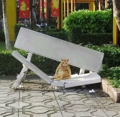 一只橘猫淡定地坐在一张严重倾斜的白色长椅上，仿佛什么都没发生。长椅的靠背已经几乎与地面垂直，但猫咪依然保持着优雅的坐姿。背景中可以看到绿色的灌木丛、树木和一栋黄色的建筑物，建筑物上挂着红色的装饰。整个场景营造出一种滑稽而又温馨的氛围，猫咪的淡定与长椅的倾斜形成了有趣的对比。