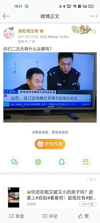微博用户“涡轮增压寄”发布的玩梗内容，配文提问“你们二次元有什么头猪吗？”，并附上央视财经《天下财经》的新闻截图，新闻为青岛海关破获特大吉他走私案。这里运用了双重谐音梗：将“吉他”谐音为“吉（几）头猪”，同时“头猪”也是“头像”的谐音，结合新闻画面里的工作人员，调侃式向二次元爱好者提问相关头像梗，整体风格搞笑有趣。