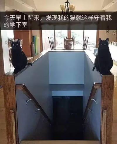 图片展示了一个家庭地下室楼梯入口场景，两只通体漆黑的猫咪分别蹲坐在楼梯两侧的木质扶手上，正直勾勾地盯着镜头，眼神警觉。楼梯下方通往黑暗的地下室，上方有吊灯照明，背景可见餐厅区域的桌椅和窗外的自然光。图片顶部配有文字：“今天早上醒来，发现我的猫就这样守着我的地下室”，营造出猫咪忠诚守护家园的温馨氛围。