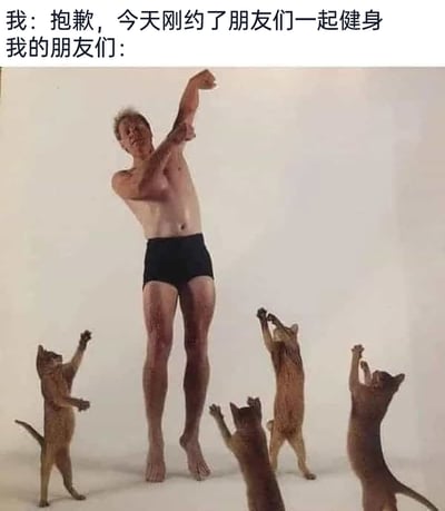这是一张充满趣味的搞笑梗图，上方配文分为两部分：“我”表示自己约了朋友健身，而“我的朋友们”对应的下方图片，则是利用视觉错位效果，将一位穿着黑色短裤的男性与四只后腿站立、抬起前爪的猫组合在一起。男性摆出无力倾斜的姿势，猫的动作看起来像是和男性一同“健身”，整体画面呈现出敷衍、划水、毫无干劲的状态，与大众认知里充满活力的健身场景形成强烈反差，幽默地调侃了和朋友约健身时，朋友们往往动力不足、只是凑数的真实日常，容易引发有类似社交经历的用户共鸣。