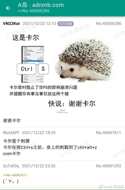 这是A岛匿名版的一篇欢乐恶搞帖子，针对PS软件用户经常遇到的软件崩溃、未保存丢失文件的痛点，创作了梗图：将一只名为卡尔的刺猬和PS软件的保存快捷键Ctrl+S结合，趣味化地表示卡尔阻止了PS崩溃，提醒用户要经常按Ctrl+S保存；后续楼层的用户玩梗吐槽，说卡尔的刺先触发了撤销快捷键Ctrl+Alt+Z，毁掉了之前的操作，引发其他用户的共鸣，整个内容充满了设计从业者的自嘲和趣味互动