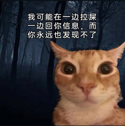 这是一张搞笑网络梗图，背景是昏暗诡异的深色森林，前景是一只被修改出超大眼睛的橘猫，猫咪直视镜头，神情严肃又带着一丝诡异感，仿佛在隐藏一个秘密。图中配文“我可能在一边拉屎一边回你信息，而你永远也发现不了”，用幽默的方式戳中了网络聊天中的真实日常——人们回复消息时的场景对方永远无法知晓，用猫咪诡异的表情烘托出这种“秘密感”，十分诙谐有趣，适合在社交聊天中用来调侃朋友。