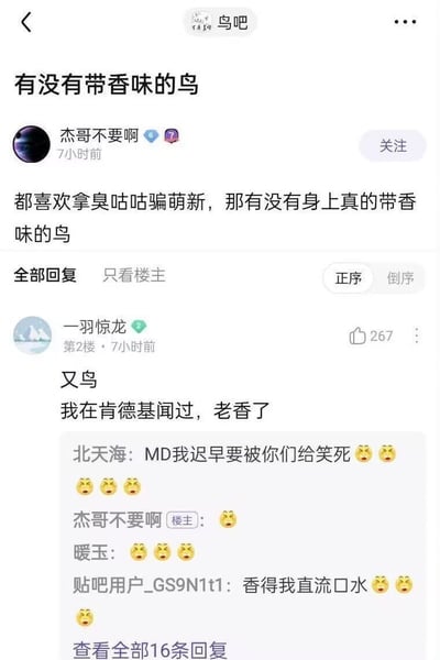 这是一张百度贴吧“鸟吧”的帖子页面截图，楼主用户名为“杰哥不要啊”发帖提问，称大家常拿“臭咕咕”这种鸟类欺骗刚入圈的萌新，询问是否存在身上真正自带香味的鸟类。二楼用户“一羽惊龙”发布拆字谐音梗回复，将“鸡”字拆为“又鸟”，称自己在肯德基闻过这种“又鸟”，香气很浓。下方其他用户纷纷留言，表达被这个谐音梗逗笑的感受，还有用户调侃“香得我直流口水”，整体是网友利用汉字拆分制造的搞笑玩梗内容。