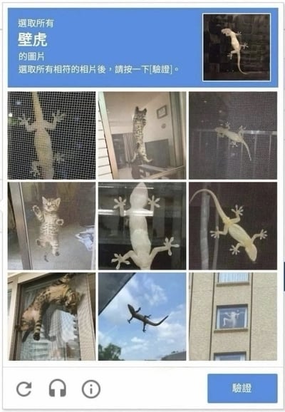 这是一张经过改编的趣味人机验证码梗图，界面顶部提示用户需要选取所有包含壁虎的图片，右上角附带了壁虎的参考样图，下方九宫格的备选图片中，除了多张真实的壁虎照片外，还混入了多张扒在玻璃、纱窗上，四肢张开姿态和壁虎高度相似的猫咪照片，最后一张甚至还有人趴在建筑窗户上模仿壁虎姿态的照片，通过制造识别混淆的反差感形成笑点。