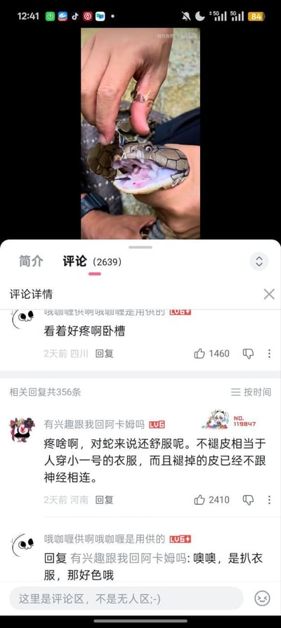 图片展示了一段社交媒体内容的截图，上方是正在进行蛇蜕皮的画面：一只手正在帮助一条蛇褪去旧皮，蛇的头部微微抬起，嘴巴微张。下方是评论区，共有2639条评论。热评第一条为用户“咲咖喱供啊咖咖喱是用供的”留言“看着好疼啊卧槽”，获1460个赞；另一用户“有兴趣跟我回阿卡姆吗”回复解释“疼啥啊，对蛇来说还舒服呢。不褪皮相当于人穿小一号的衣服，而且褪掉的皮已经不跟神经相连”，获2410个赞，引发其他用户互动调侃“是扒衣服，那好色哦”。