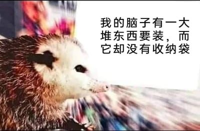 这是一张用于抒发情绪的自嘲类静态梗图，采用图文混排、顶配底文的形式呈现。画面主体是一只神态恍惚、头部侧转的负鼠，背景带有模糊的放射状线条，强化了头脑混乱的视觉感受；画面右侧配有文字“我的脑子有一大堆东西要装，而它却没有收纳袋”。创作者巧妙利用负鼠作为有袋类动物的特性做反差：有袋类动物通常自带育儿袋可以收纳物品，而人的大脑却没有这样的“收纳袋”，以此自嘲自己被大量的信息、生活或工作事务填满，大脑无法妥善整理这些内容，陷入精神过载、头脑混乱的疲惫状态，用幽默的方式精准戳中当代人被繁杂事务压得喘不过气的焦虑情绪。