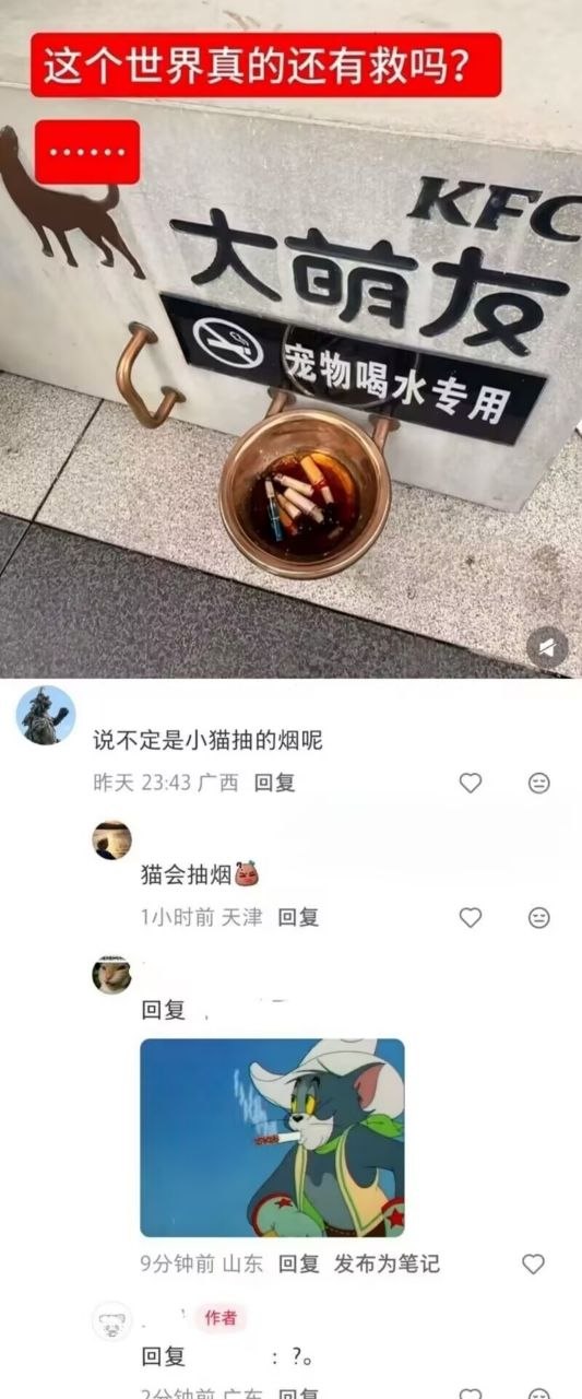 猫和老鼠