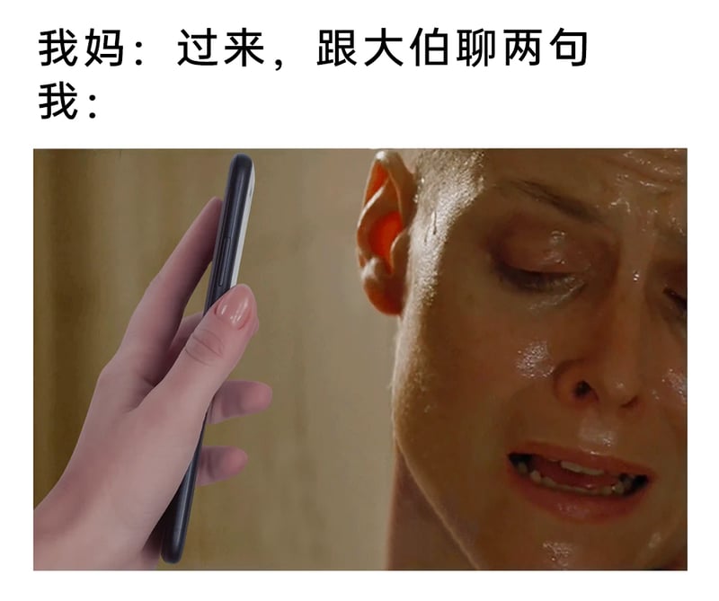 T-800（阿诺德·施瓦辛格 饰）