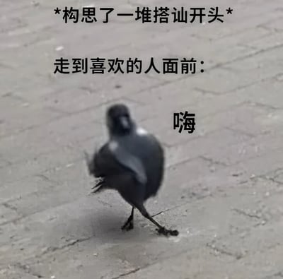 图片中一只模糊的黑鸟站在灰色砖铺地面上，上方文字写着“*构思了一堆搭讪开头*”，中间文字为“走到喜欢的人面前：”，鸟的旁边配有“嗨”字。通过动物行为与人类社交场景的类比，幽默展现了人们在准备与喜欢的人搭讪时，内心构思了无数精妙开场白，实际见面却只说出简单“嗨”的真实反差感，充满生活气息和自嘲意味。