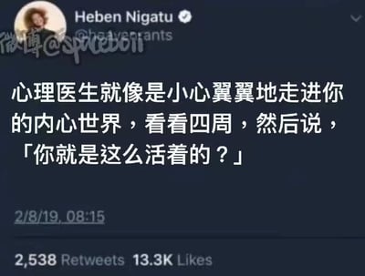 这是一张X平台（原Twitter）的社交媒体推文截图，截图顶部展示了用户Heben Nigatu的头像与认证名称，主体部分是一段被翻译成中文的趣味文字：“心理医生就像是小心翼翼地走进你的内心世界，看看四周，然后说，「你就是这么活着的？」”，这段文字以幽默夸张的方式调侃了心理医生在深入了解来访者内心状态后的反应，用拟人的手法将心理医生的工作场景具象化，带有自嘲式的幽默，容易引发对心理话题感兴趣的用户共鸣。截图底部标注了推文的发布时间为2019年2月8日08:15，以及该推文获得的2538次转发和13.3K次点赞。图片左上角带有微博用户@spaceboll的水印，说明该截图被搬运至微博平台。