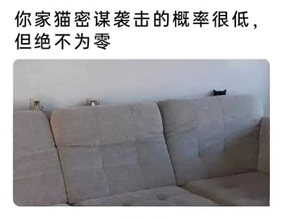 图片上方配有文字'你家猫密谋袭击的概率很低，但绝不为零'，下方是一张实拍照片：灰色沙发的靠背后方，两只猫分别从不同位置探出头来，眼神偷偷摸摸，仿佛在暗中观察，配合文字形成幽默效果，调侃猫咪看似无辜却可能随时'袭击'主人的调皮行为。
