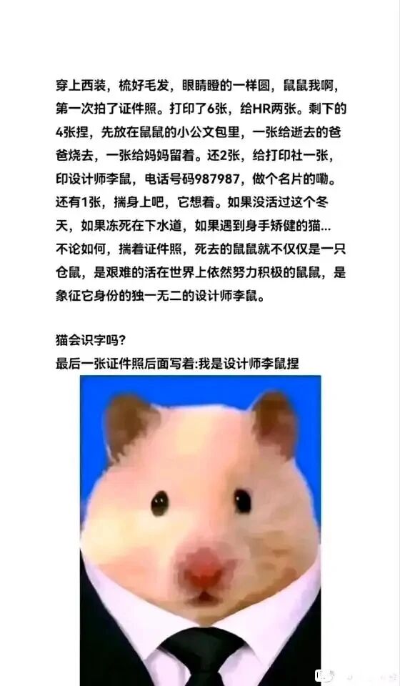 设计师