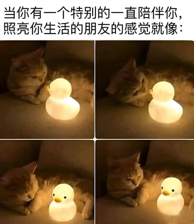 图片为四宫格（2x2）拼图，上方配有文字'当你有一个特别的一直陪伴你，照亮你生活的朋友的感觉就像：'。每一格均展示一只橘猫与一盏发光的小鸭子造型台灯的温馨互动场景：橘猫或依偎着台灯、或轻嗅灯身、或安静注视，灯光柔和地照亮周围，营造出温暖治愈的氛围，用猫咪与灯的陪伴关系比喻珍贵友谊带来的慰藉与光明。