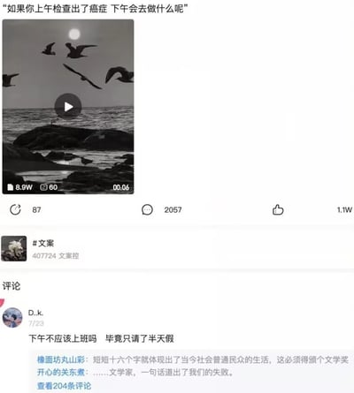 这是一张社交媒体截图，顶部配有文字'如果你上午检查出了癌症 下午会去做什么呢'，下方是黑白海景视频缩略图（含海鸥、岩石、落日元素），显示8.9W点赞、60条评论、00:06时长。截图包含互动数据（87转发、2057评论、1.1W点赞）及用户'文案控'发布的#文案内容。评论区中，用户'D.k.'的回复'下午不应该上班吗 毕竟只请了半天假'成为亮点，以黑色幽默方式反映当代打工人无奈，形成严肃问题与现实回答的强烈反差。