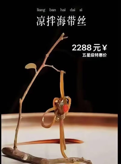 这是一张恶搞高端餐饮的图片，将极其普通的凉拌海带丝以过度包装的“高端料理”形式呈现：仅有的几根海带丝被精心造型，搭配枯枝作为艺术化装饰，营造出精致料理的视觉假象。图片标注这道“凉拌海带丝”的五星级特惠价高达2288元，用食材本身的廉价与标价的天价形成强烈反差，讽刺了部分高端餐饮脱离食材实际价值、过度营销包装导致价格虚高的现象，充满荒诞搞笑的戏谑感。