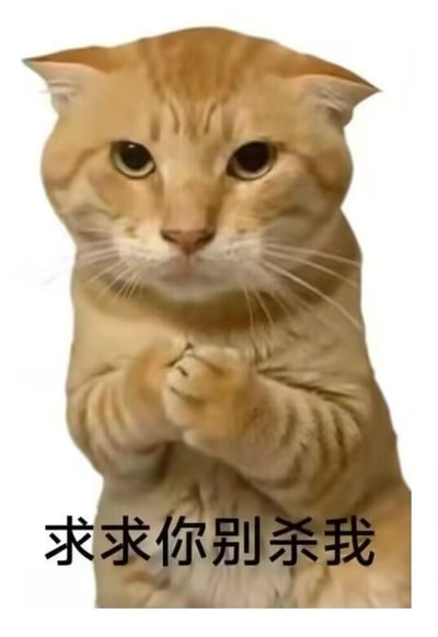这是一张经过P图改编的网络表情包，主体是一只橘色的真实猫咪，它的前爪被通过图像编辑软件修改为类似人类双手合十的姿势，猫咪的面部表情呈现出惊恐又委屈的状态，眼神带着明显的哀求感。图片下方配有醒目的黑色简体中文文字“求求你别杀我”，整体画面营造出一种极度恐惧、卑微求饶的氛围。该表情包没有双关、谐音梗或暗示内容，主要用于在网络交流中夸张地表达自己处于弱势地位、害怕被指责、惩罚的情绪，或是用于朋友间的玩笑互动来示弱调侃。