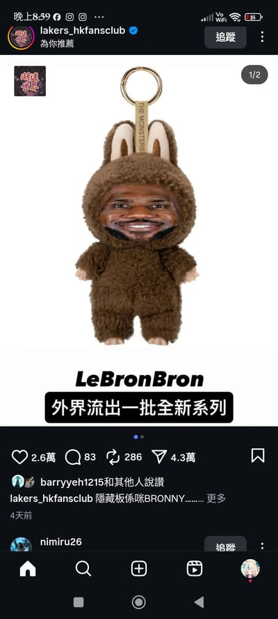 这张图展示了一个毛绒钥匙扣，造型像小动物公仔，并配有金属钥匙环。下方配文大字写着“LeBronBron”，并有“外界流出一批全新系列”，明显双关了NBA球星LeBron James的名字和爆款表情包发音“BronBron”。图片带有轻松恶搞气氛，且调侃了LeBron James个人品牌及网络梗。整体风格有明显玩梗、球迷圈吐槽特色。