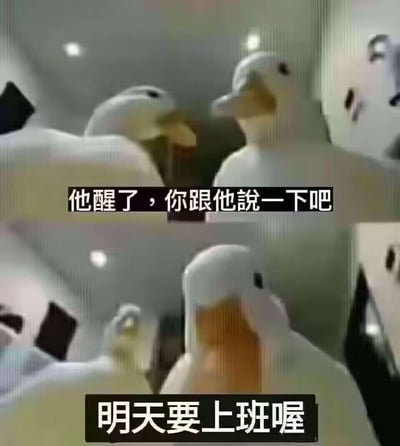 这是一张由两张图片拼接而成的搞笑梗图，内容是两只白色鸭子玩偶在浴室场景中进行对话。上图中一只鸭子对另一只说“他醒了，你跟他说一下吧”，下图中另一只鸭子接着说“明天要上班喔”。通过拟人化的鸭子玩偶对话，幽默地表达了人们对工作日的抗拒和无奈情绪，用可爱的形象传递出打工人的共同心声。