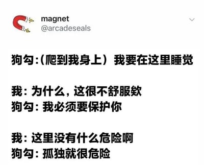 这是一张以文字对话形式呈现的梗图，内容为“狗勾”与“我”的温馨互动。狗勾爬到“我”身上想要睡觉，当被问及原因时，狗勾表示“我必须要保护你”，在“我”疑惑没有危险的情况下，狗勾说出“孤独就很危险”的暖心回答，展现了宠物对主人的陪伴意义和情感价值。