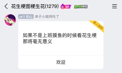 这是一张QQ群聊截图，群名为“花生梗图梗生花(1279)”，群内LV1等级的新人用户“幸子小姐拜托了”发布带有“新人报到”黄色标识的消息，内容为“如果不是上班摸鱼的时候看花生梗 那将毫无意义”，用幽默的语气调侃了职场摸鱼时看梗图才是该群内容的“正确打开方式”，贴合当代职场年轻人利用摸鱼时间解压的日常，消息下方出现“欢迎”的回复内容，用户头像为一个手持相机的冷峻卡通人物，群顶部还有等级标识和“arcadia”的特殊标识。