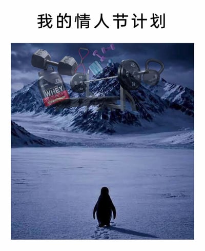 这是一张充满自嘲趣味的P图改编作品，顶部配有醒目的文字“我的情人节计划”。画面下半部分是一只企鹅独自伫立在辽阔空旷的极地冰原上，前方的雪山背景被叠加了多种专业健身器材，包括大重量哑铃、杠铃、卧推凳、壶铃、小哑铃、弹力带，还有一罐ON品牌的金标乳清蛋白粉。通过将健身元素与孤寂的极地场景结合，用强烈的反差感调侃单身人群在情人节没有约会安排，选择投入健身、自我提升的状态，用极地的冷清氛围烘托出单身的孤寂感，同时传递出将节日时间用于健身的计划，是一种对单身状态的幽默表达。