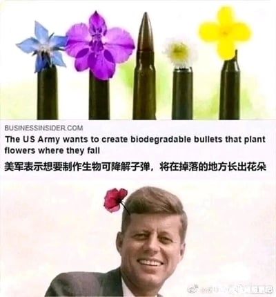 这是一张上下拼接的趣味梗图，上半部分是新闻配图，展示了五枚子弹壳顶端分别长出不同颜色、种类的花朵，配文包含英文原文“The US Army wants to create biodegradable bullets that plant flowers where they fall”和中文翻译“美军表示想要制作生物可降解子弹，将在掉落的地方长出花朵”，来源标注为BUSINESSINSIDER.COM，呈现了美军研发可降解子弹的创意设想；下半部分是经过P图改编的约翰·F·肯尼迪的照片，他的头部位置被添加了一朵红色花朵，以此对应上半部分的可降解子弹落地长花的创意，通过这个场景对该创意进行趣味化调侃，属于网络常见的梗图创作。