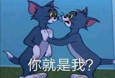 这是一张基于经典动画《猫和老鼠》的二次创作梗图，画面中两只汤姆猫面对面站立，一只手抵在对方的胸口，脸上都露出惊讶又疑惑的神情，下方配有文字“你就是我？”。这张图通常用来表达当人们遇到和自己高度相似的人、穿搭、经历时，那种震惊又不敢置信的情绪，也可用于调侃撞脸、撞款等相似场景。