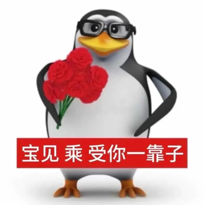 高雅人士企鹅手持玫瑰表白：宝见 乘 受你一靠子