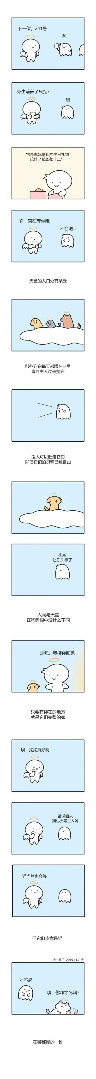 这是一则暖心又带点反差幽默的连环漫画，讲述了241号鬼魂在天堂报到时，与接引天使的对话：鬼魂回忆起自己生前由父母赠送、陪伴了十二年的狗狗，天使告知他狗狗一直在天堂入口的云上等他，狗狗将有主人的地方当作自己的家，鬼魂见到狗狗后满是愧疚地道歉，一人一狗终于“团聚”。之后鬼魂好奇猫猫是否会等主人，天使表示猫猫也会等，但随后的画面是一只猫猫惬意地躺在天堂里晒太阳，不耐烦地让鬼魂别挡它的太阳，用猫狗性格的反差制造出幽默的效果，既温暖又有趣，展现了宠物与主人之间不同形式的深厚羁绊。