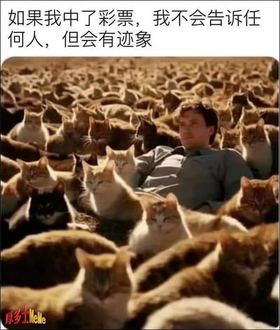 这张梗图上方配有文字“如果我中了彩票，我不会告诉任何人，但会有迹象”，画面中一名男子惬意地躺在密密麻麻的猫咪中间，被各式各样的家猫环绕，生动呈现出“暴富后悄悄实现养猫自由，用实际行动暴露自己有钱”的搞笑脑洞，精准戳中众多猫奴想要拥有大量猫咪的心愿，用夸张的场景表达了对财富与养猫自由的双重向往。