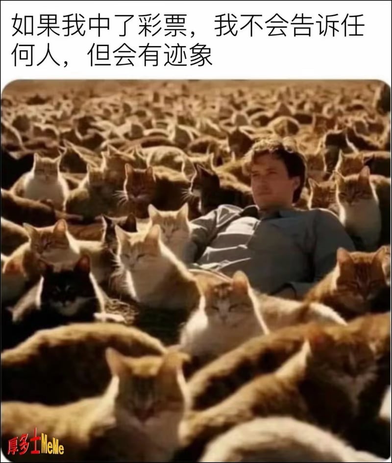 真实人物（合成拼接）