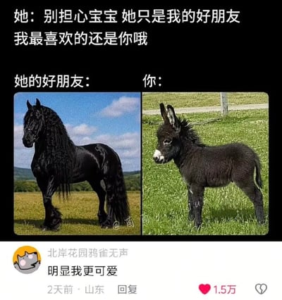 这是一张黑色背景的中文梗图。上方文案写着：“她：别担心宝宝 她只是我的好朋友 我最喜欢的还是你哦”。下方被分成左右两栏，左栏标题为“她的好朋友：”，配图是一匹肌肉线条明显、长鬃卷曲飘逸、姿态高贵的黑色骏马；右栏标题为“你：”，配图是一头体型娇小、毛发蓬松、外形憨厚的黑色小毛驴。图通过骏马和毛驴的强烈反差，调侃恋爱中一方嘴上说最喜欢伴侣，但其所谓“好朋友”却在外形或气场上远超伴侣，使“你”产生自卑或被比下去的感觉。底部截取了一条评论，用户“北岸花园鸦雀无声”留言“明显我更可爱”，定位显示山东，发布于2天前，获1.5万赞。这条评论反过来从小毛驴的“可爱”角度进行自我安慰，形成第二层笑点。