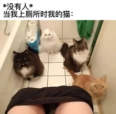 这张图片以第一人称视角展示了一个有趣的宠物日常场景。图片下方能看到人的腿部和黑色短裤，显示正坐在马桶上。周围有四只不同颜色的猫（黑色、白色、棕白相间和橘色），它们都蹲坐在浴室的白色地砖上，齐刷刷地抬头注视着正在上厕所的主人。上方文字"*没有人* 当我上厕所时我的猫："形成了幽默对比，夸张地表现了猫咪总是对主人行踪过度关注的可爱习性。