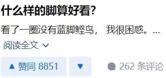 这是一张问答类社交媒体平台的帖子截图，帖子标题提问「什么样的脚算好看？」，正文内容表示在浏览相关讨论后，发现没有人提到蓝脚鲣鸟，因此感到困惑，玩了一个趣味梗——蓝脚鲣鸟拥有标志性的蓝色大脚，是动物界极具特点的“好看的脚”，用户将动物的脚纳入人类关于“好看的脚”的讨论范畴，制造出荒诞又搞笑的反差感。帖子下方显示获得了8851个赞同，还有262条评论。