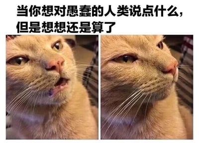 图片为上下结构的图文混排内容，上方是黑色文字：'当你想对愚蠢的人类说点什么，但是想想还是算了'。下方是两张并排的橘猫照片：左侧猫咪嘴巴微张，眼睛正视前方，表情仿佛正要开口说话；右侧猫咪嘴巴紧闭，头部转向一侧，眼神平静，似乎已放弃表达。整体通过猫咪前后表情的对比，幽默地展现了人们想吐槽却最终选择沉默的心理状态。