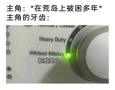 这是一张图文结合的搞笑吐槽梗图，上方文字设定场景为“主角：*在荒岛上被困多年*”，引出“主角的牙齿：”，下方是洗衣机的操作界面截图，旋钮停在标注为“Whitest Whites”的档位，该档位配有绿色高亮指示灯，同时叠加了中文“极致亮白”的标注。图中用洗衣机的“极致亮白”洗衣模式，来调侃影视或故事作品中常见的脱离现实的设定——即使主角在缺乏清洁条件的荒岛生存多年，牙齿依然保持异常洁白的状态，通过这种反差感制造出搞笑的吐槽效果。