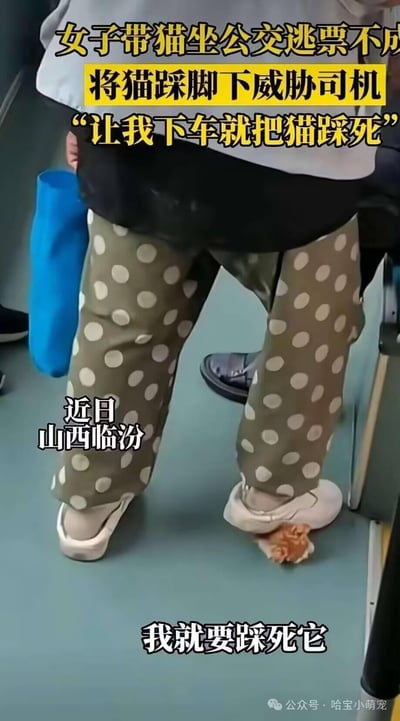 山西临汾某公交车内场景，一名女子因带猫乘车逃票被拒后，将猫踩在脚下威胁司机，声称“让我下车就把猫踩死”。图片中可见女子穿着绿色波点裤，右脚踩在地面的小猫身上，身旁放着蓝色手提袋，上方有黄色醒目标题文字描述事件经过，下方标注事发地点为近日山西临汾。
