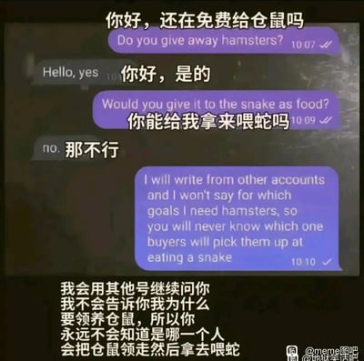 这是一张中英文对照的聊天记录截图，对话双方围绕免费仓鼠展开：一方先询问是否可免费领取仓鼠，得到肯定答复后，提出要将仓鼠用于喂蛇，被对方拒绝后，放话会更换其他账号，不说明领取仓鼠的真实用途，以此来获取仓鼠喂蛇。这段对话展现了索要仓鼠者的腹黑小聪明，带有荒诞搞笑的氛围，属于网络趣味meme内容。