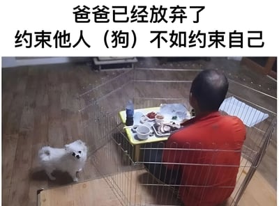 图片中一名身穿红色外套的男子坐在金属笼内，面前的小桌上摆放着水、碗碟和食物。笼外有一只白色毛茸茸的小狗正注视着他。图片上方配有文字“爸爸已经放弃了 约束他人（狗）不如约束自己”，通过反差幽默的方式展现了主人放弃管教宠物，转而“自我约束”的搞笑场景。