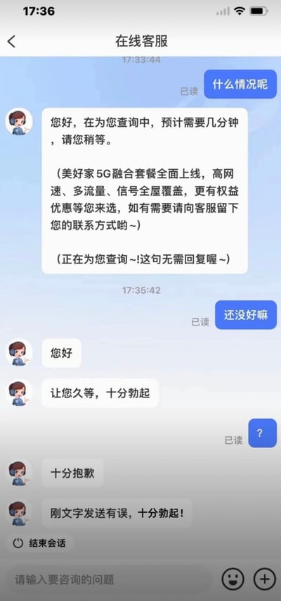 这是一张在线客服与用户的聊天截图。用户先后发送“什么情况呢”和“还没好嘛”询问进度，客服起初回复“您好，在为您查询中，预计需要几分钟，请您稍等”，并附带5G套餐推广信息。随后客服再次发送“您好”，接着出现尴尬失误：“让您久等，十分勃起”，意识到错误后补发“十分抱歉”，但紧接着又错发“刚文字发送有误，十分勃起！”，将“抱歉”误输为“勃起”的低级错误引发笑点。