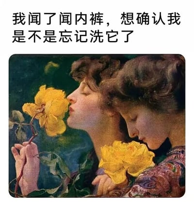 图片上方配有文字“我闻了闻内裤，想确认我是不是忘记洗它了”，下方是一幅古典油画，画中两位女性正闭着眼睛陶醉地闻着黄色花朵。通过将高雅的古典艺术与日常尴尬小事结合，形成强烈反差萌，达到幽默效果。
