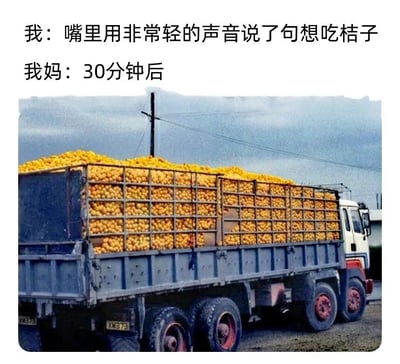 暂无描述