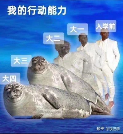 这张合成梗图以“我的行动能力”为核心标题，通过从上到下的渐变对比效果，生动展现了大学生从入学前到大四的行动能力变化过程：入学前是穿着白色西装、身姿挺拔精神的黑人男性；到大一时姿态开始放松，大二时身体变得瘫软萎靡；大三直接变成瘫躺在地、慵懒倦怠的海豹；大四则是更加瘫软、毫无力气的海豹。图中用夸张的形象退化，精准调侃了随着年级增长，大学生逐渐失去行动力、越来越“躺平”的真实状态，戳中了很多大学生的校园生活痛点，用幽默的方式引发强烈共鸣。