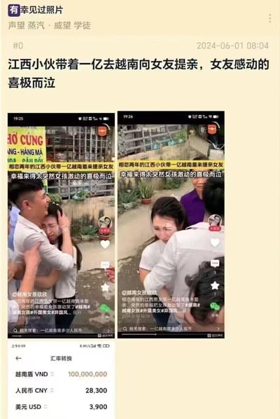 这是一则由网友整理的趣味社交内容，顶部是论坛帖子标题“江西小伙带着一亿去越南向女友提亲，女友感动的喜极而泣”，中间拼接了两张抖音短视频截图，画面里江西小伙到越南和相恋两年的女友见面，女友激动得和小伙拥抱哭泣，视频配文都强调“一亿越南盾提亲”的噱头；底部附上汇率转换截图，显示1亿越南盾仅可兑换28300元人民币，戳破“一亿”的高额假象，制造出戏剧性的反差感，让原本的感人提亲场景多了一层趣味笑点。