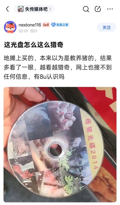 这是一张百度贴吧的发帖截图，内容发布于「失传媒体吧」，用户nextone116晒出自己在地摊购买的标注为「母猪光碟2014」的DVD光盘，他起初以为这是养猪教学光盘，仔细查看光盘封面后发现除了猪的相关图片外，还拼接了大量疑似猎奇、不适的其他内容，且全网搜索不到该光盘的相关信息，因此发帖询问其他网友是否了解该光盘的相关情况。